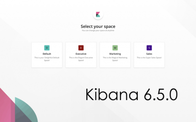 Kibana 6.5.0: organizza Dashboard e Visualizzazioni con Spaces!